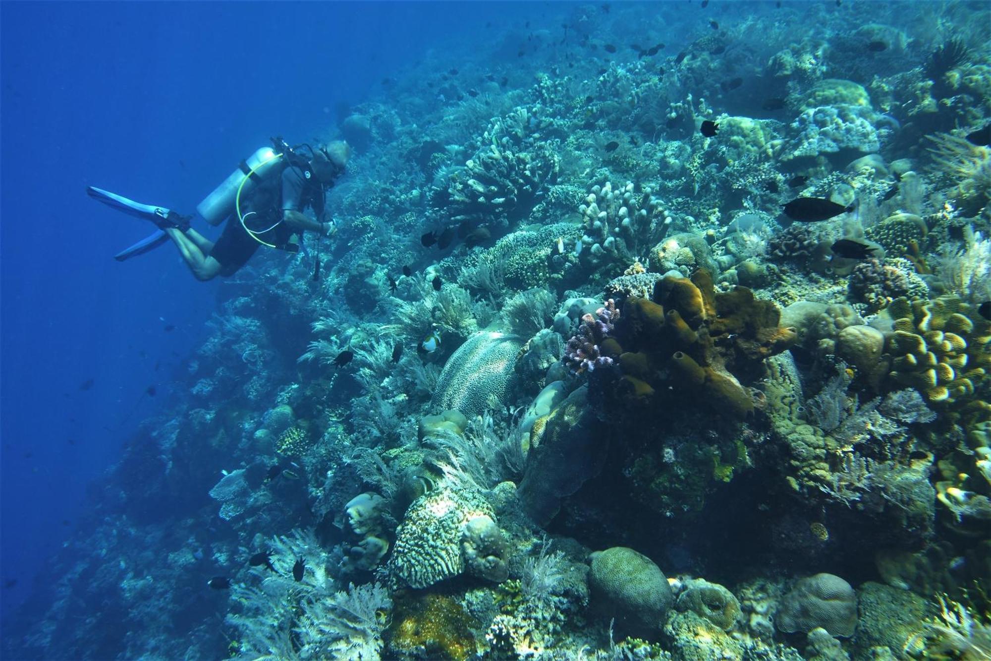 Bunaken Sea Garden Resort Zewnętrze zdjęcie